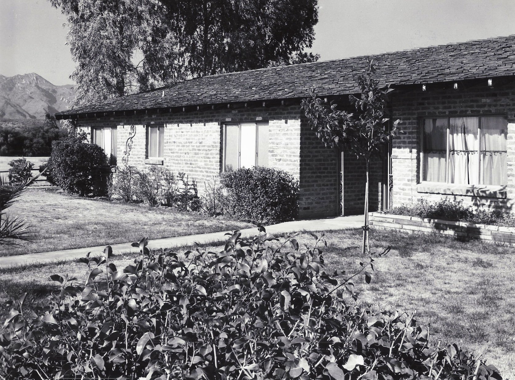 1964 Tucson home photos: Home overlooks golf course